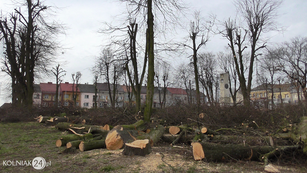 Wycinka drzew w parku miejskim (część 3)