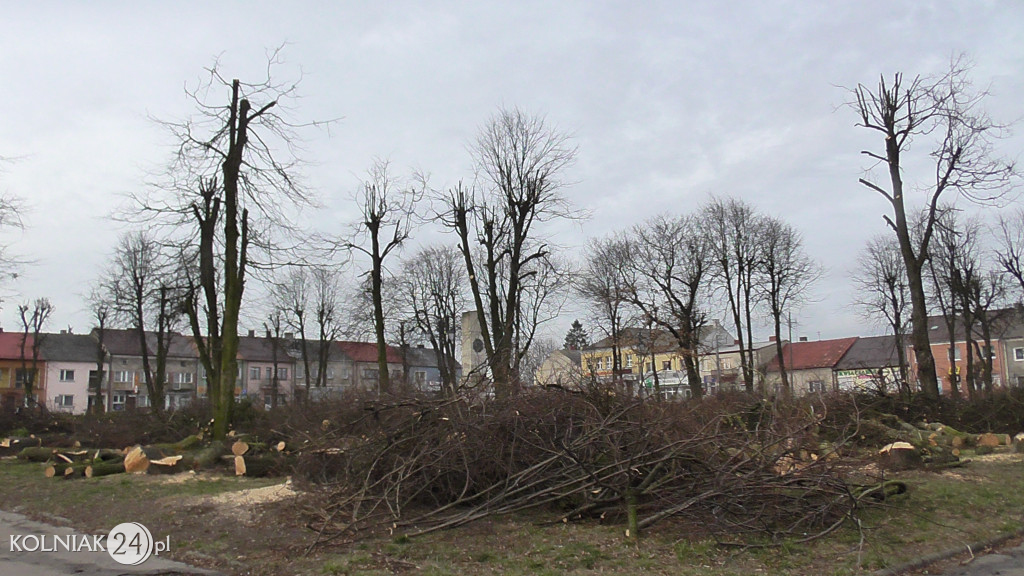 Wycinka drzew w parku miejskim (część 3)