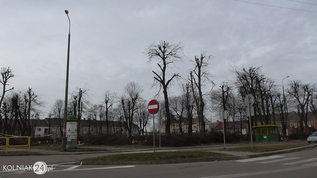 Wycinka drzew w parku miejskim (część 3)