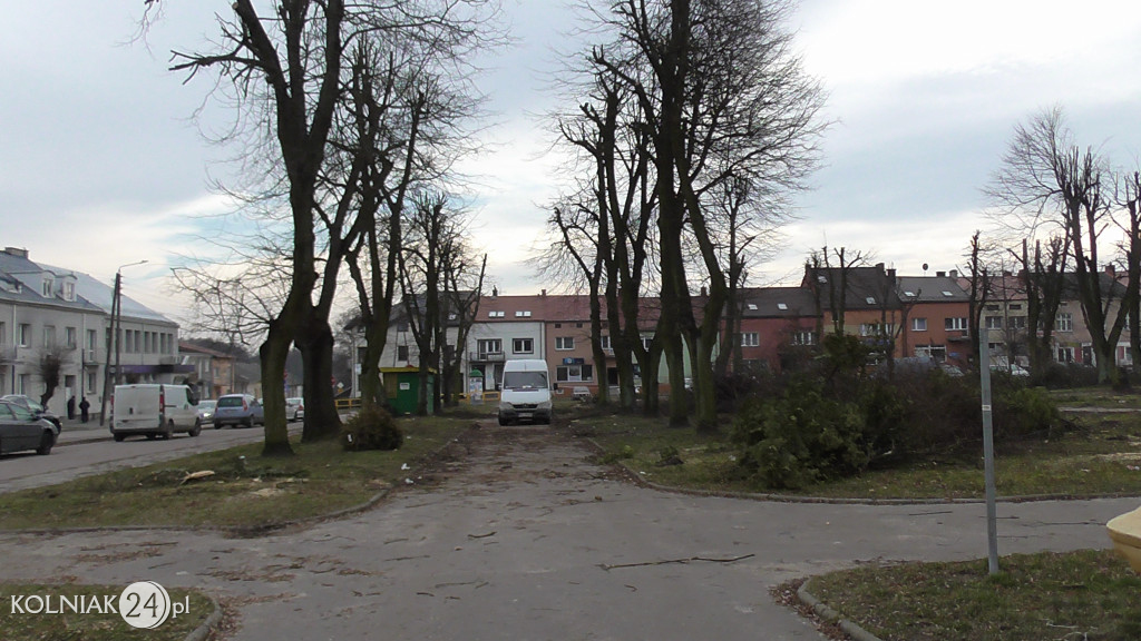 Wycinka drzew w parku miejskim (część 3)