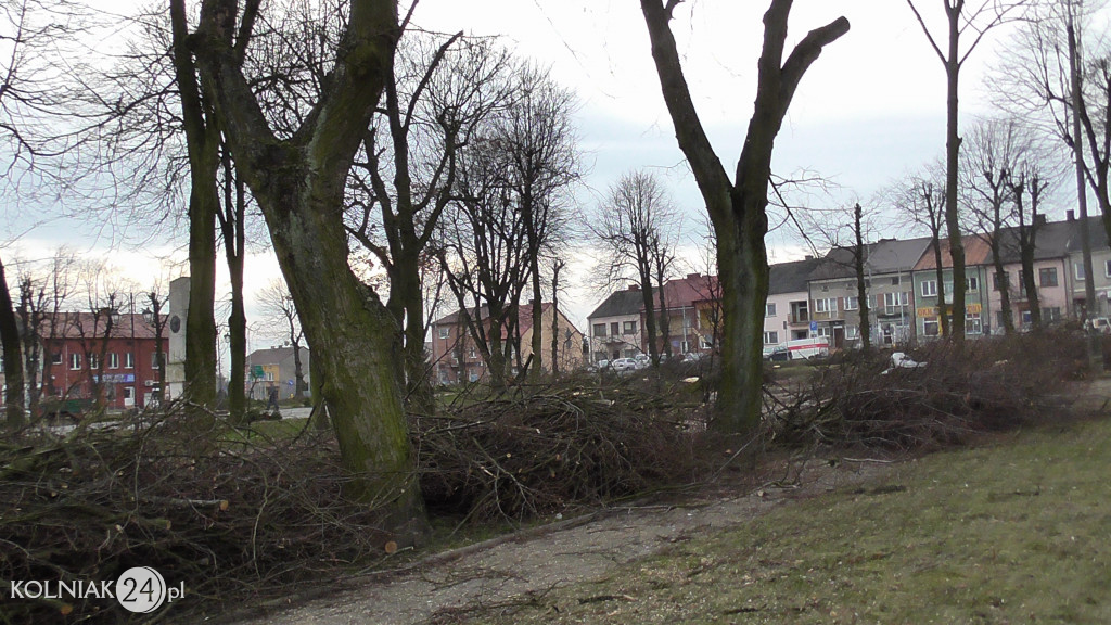 Wycinka drzew w parku miejskim (część 3)