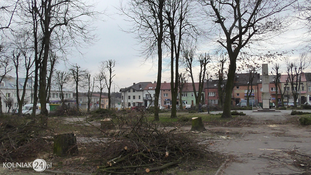 Wycinka drzew w parku miejskim (część 3)