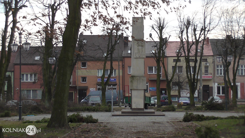 Wycinka drzew w parku miejskim (część 3)