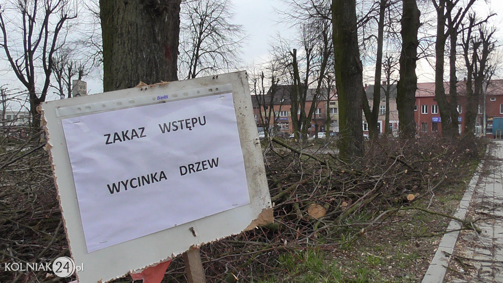 Wycinka drzew w parku miejskim (część 3)