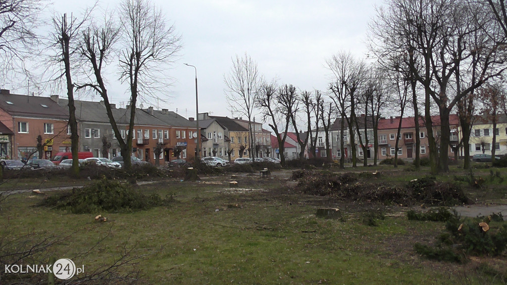 Wycinka drzew w parku miejskim (część 3)