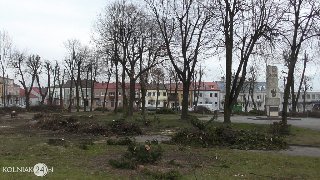 Wycinka drzew w parku miejskim (część 3)