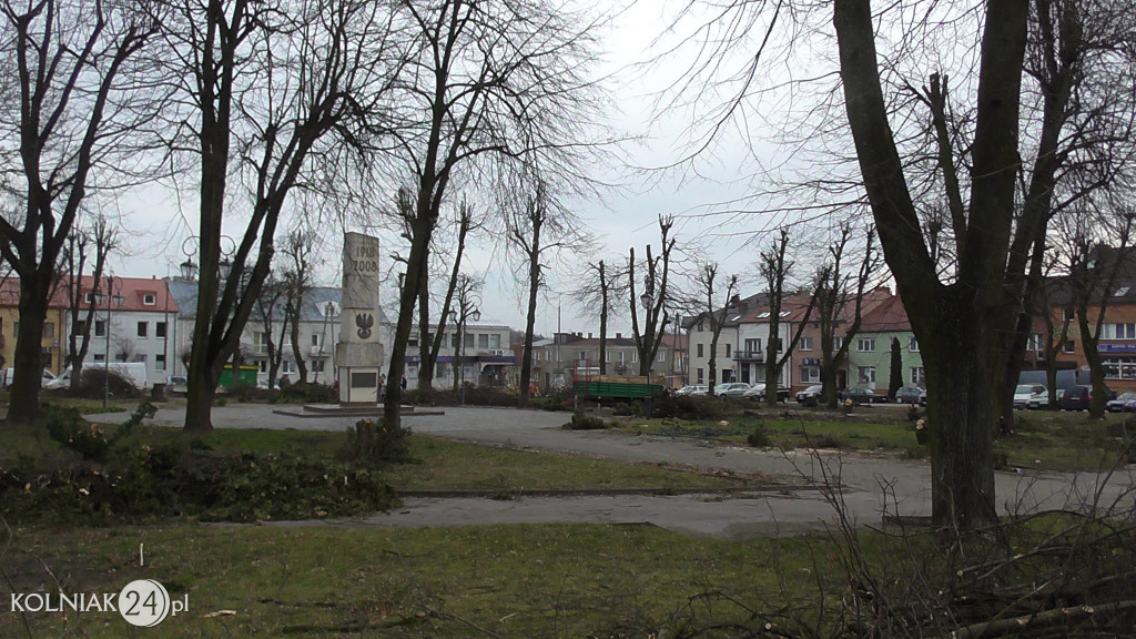Wycinka drzew w parku miejskim (część 3)
