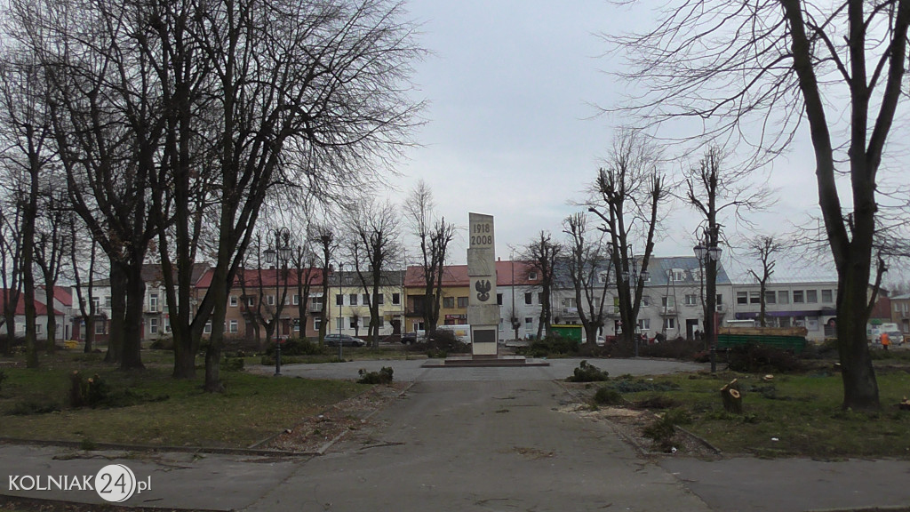 Wycinka drzew w parku miejskim (część 3)