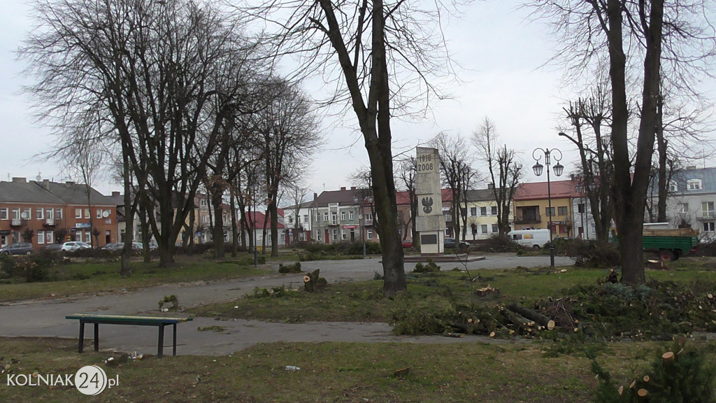 Wycinka drzew w parku miejskim (część 3)