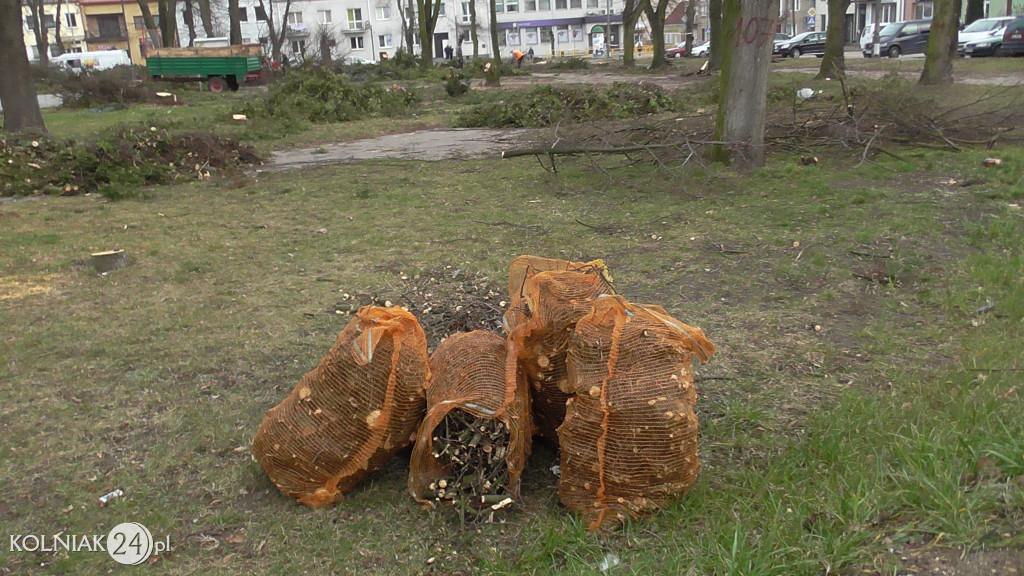 Wycinka drzew w parku miejskim (część 3)
