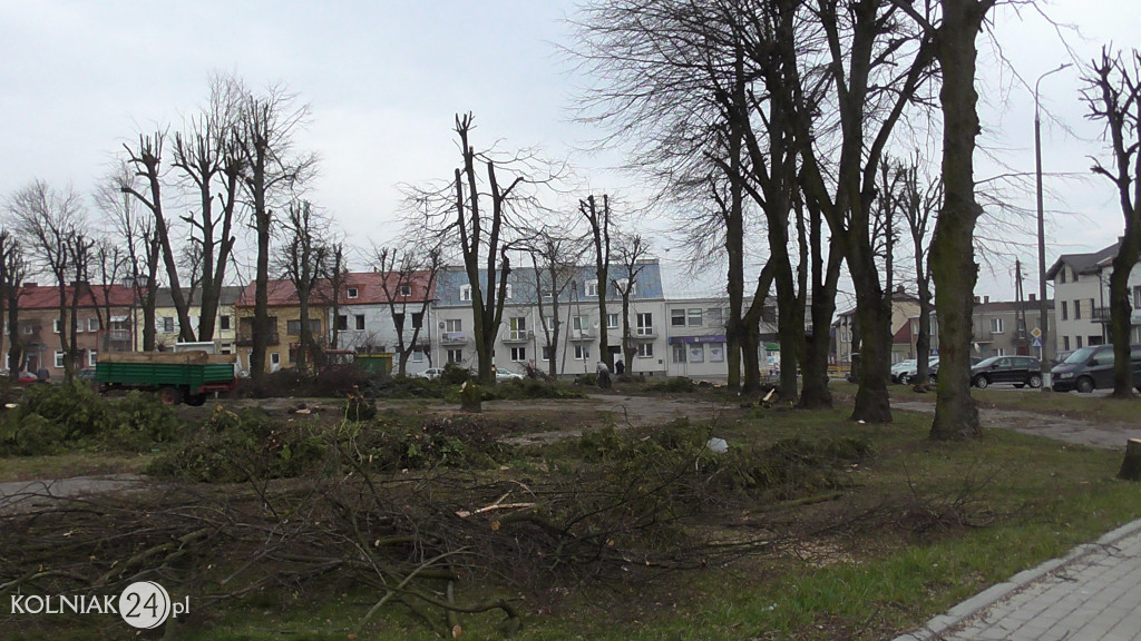 Wycinka drzew w parku miejskim (część 3)