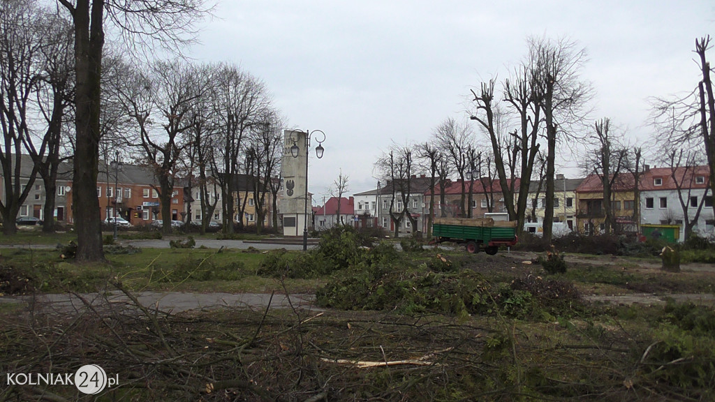 Wycinka drzew w parku miejskim (część 3)