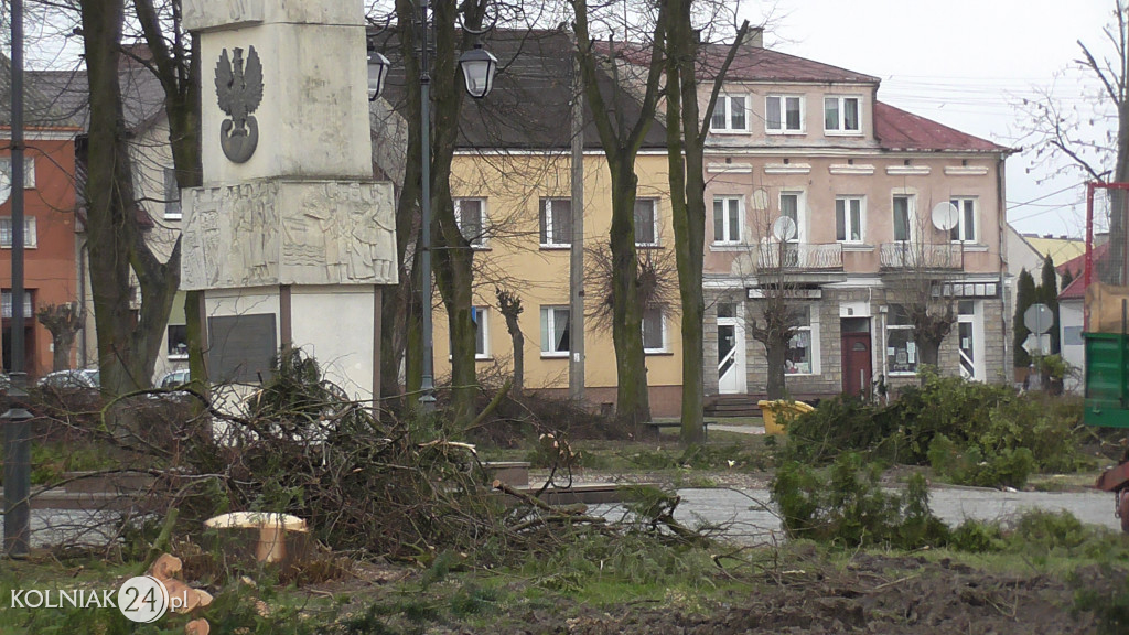Wycinka drzew w parku miejskim (część 3)