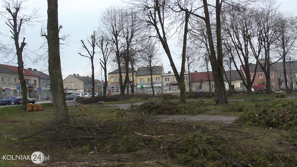 Wycinka drzew w parku miejskim (część 3)