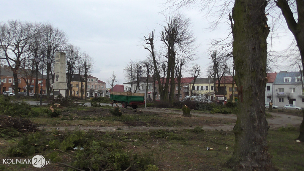 Wycinka drzew w parku miejskim (część 3)