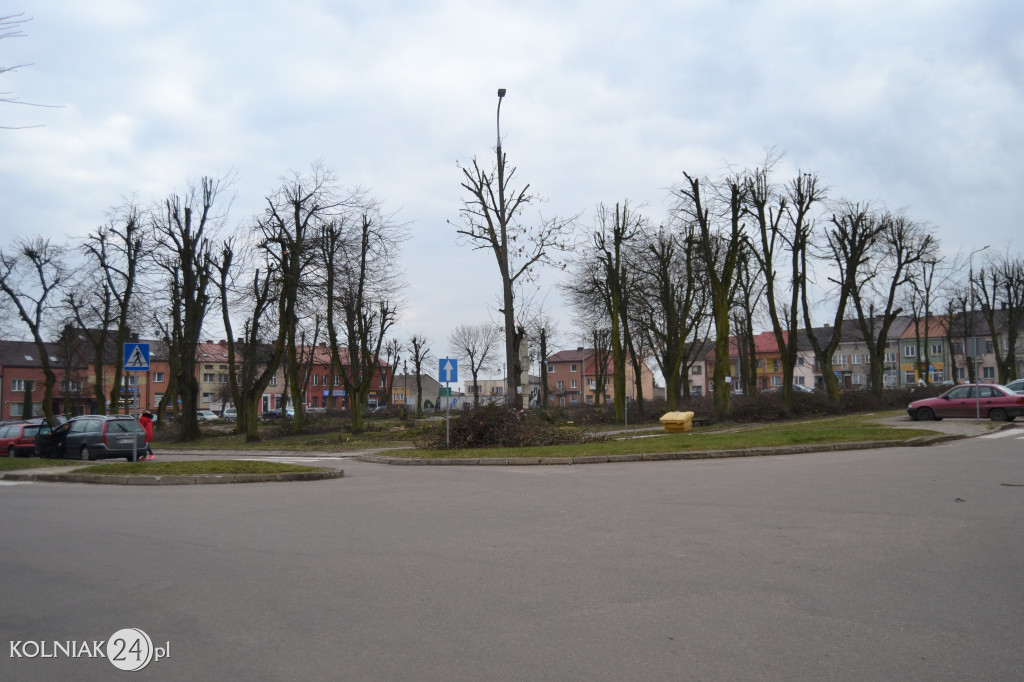 Wycinka drzew w parku miejskim (część 3)