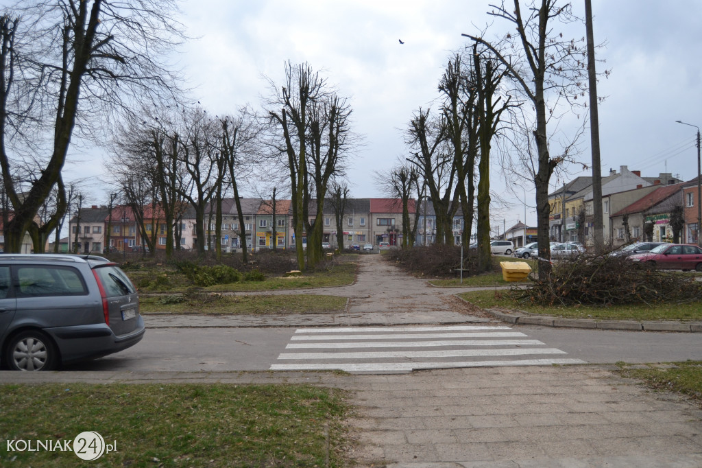 Wycinka drzew w parku miejskim (część 3)