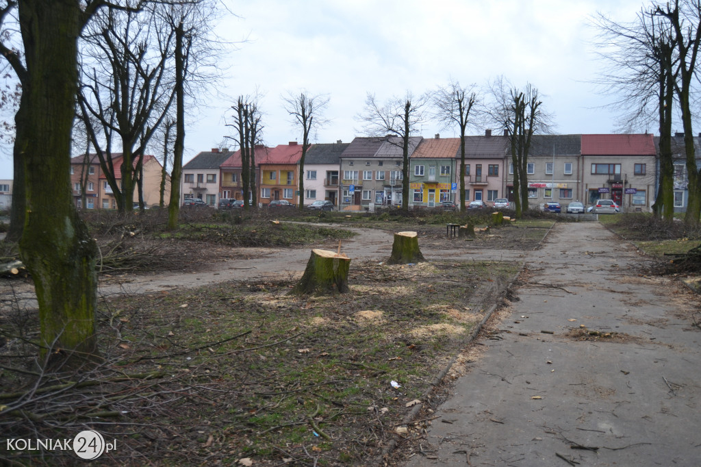 Wycinka drzew w parku miejskim (część 3)