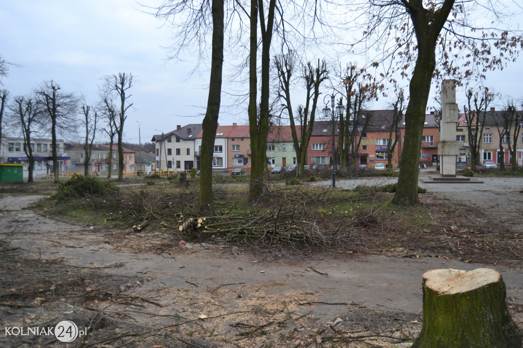 Wycinka drzew w parku miejskim (część 3)