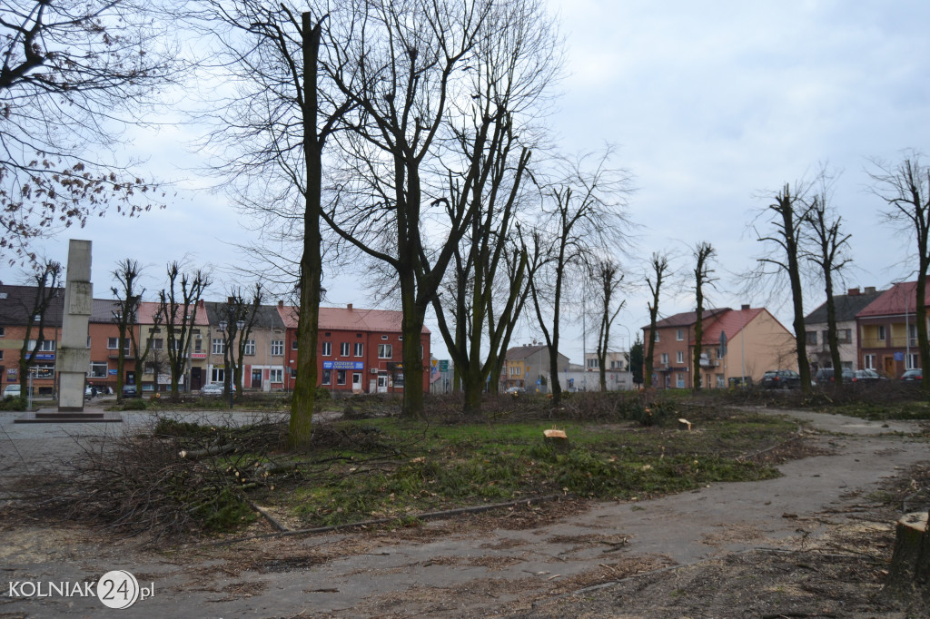 Wycinka drzew w parku miejskim (część 3)