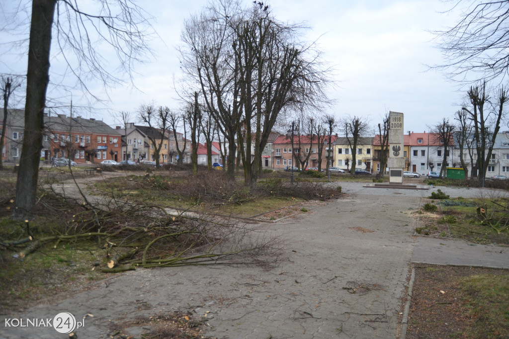 Wycinka drzew w parku miejskim (część 3)