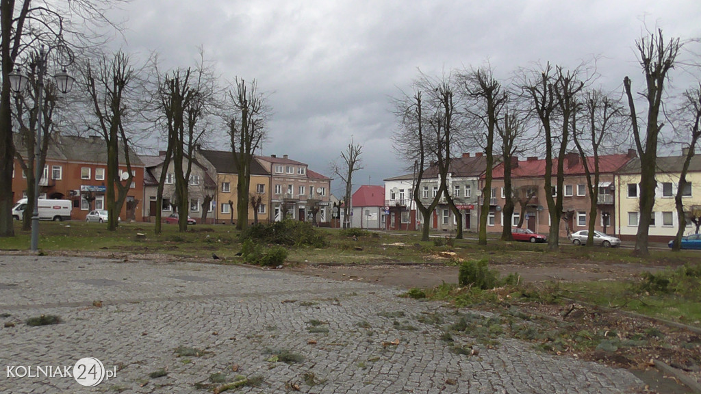 Wycinka drzew w parku miejskim (część 3)