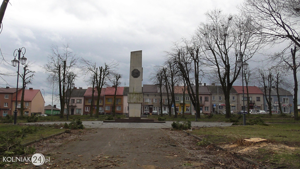 Wycinka drzew w parku miejskim (część 3)