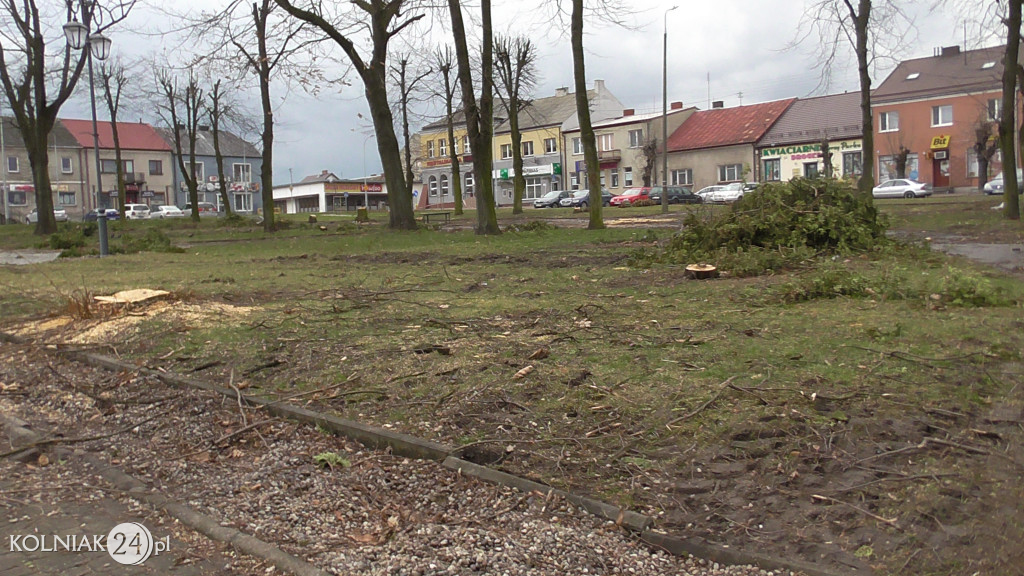 Wycinka drzew w parku miejskim (część 3)