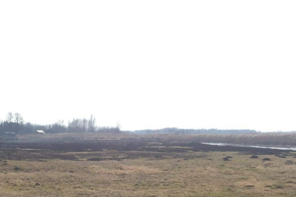 Pożar trawy w okolicy miejscowości Samule