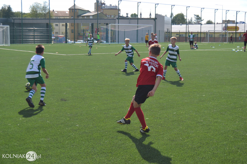 Turniej Falcon Cup w Kolnie