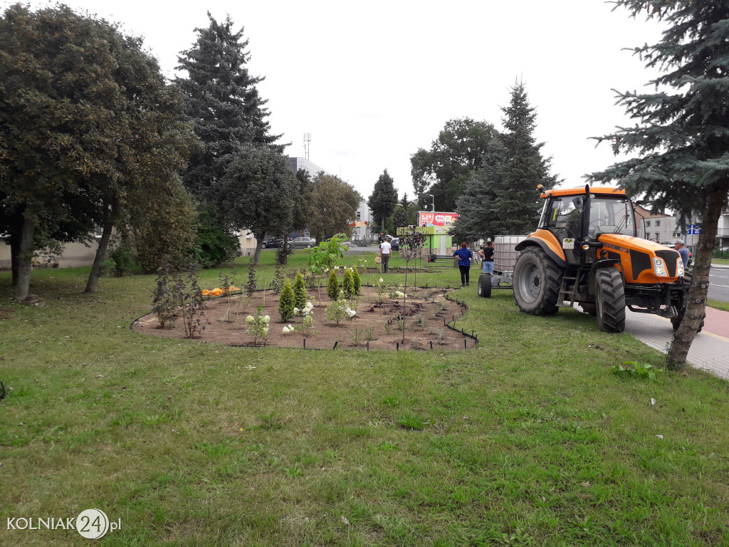 Rabaty ogrodowe przy głównej ulicy w Kolnie