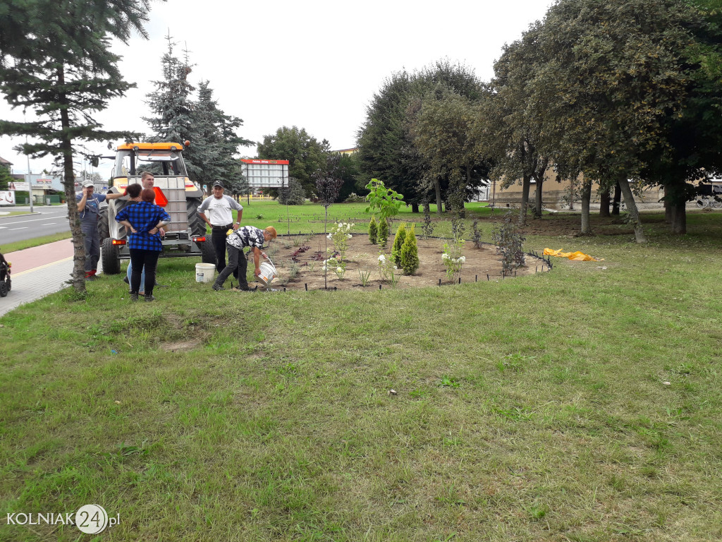 Rabaty ogrodowe przy głównej ulicy w Kolnie