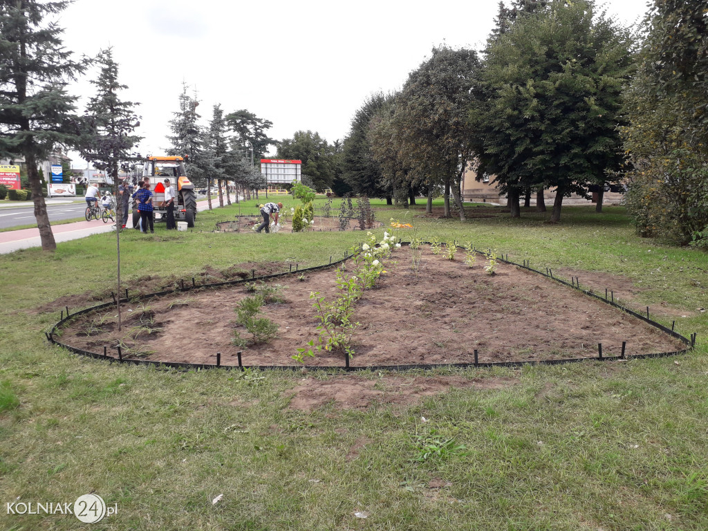 Rabaty ogrodowe przy głównej ulicy w Kolnie