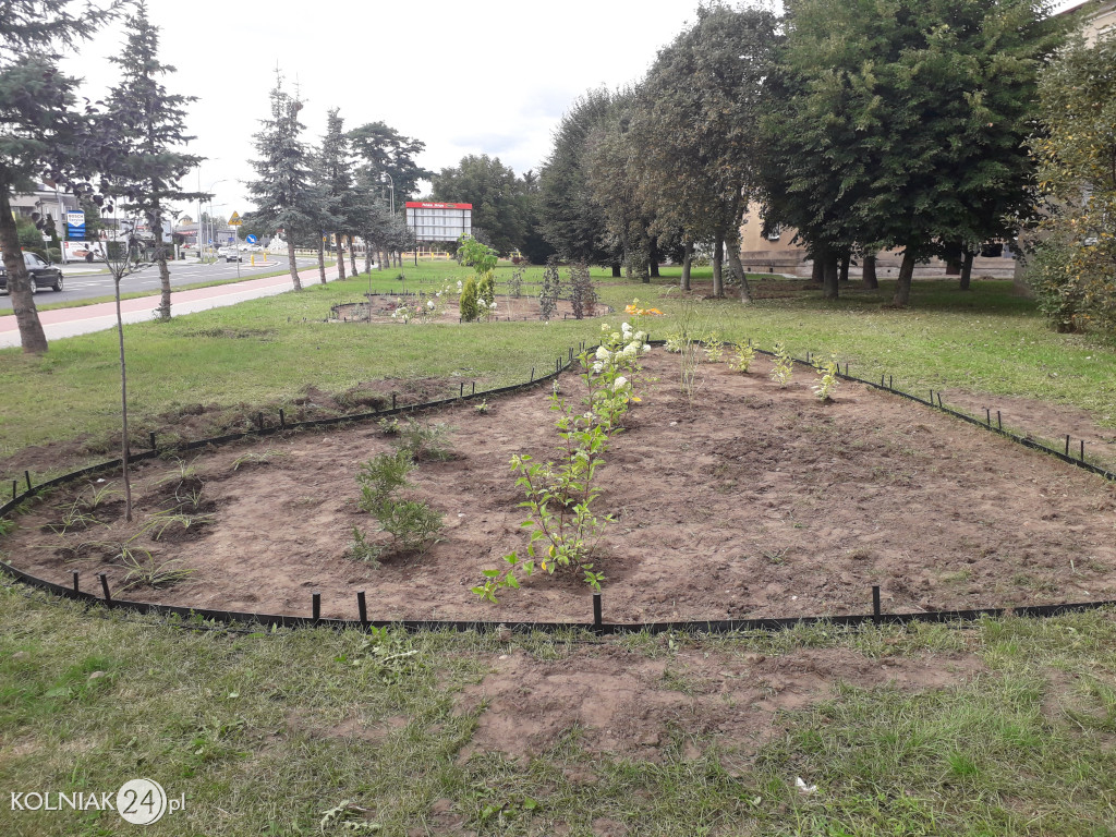 Rabaty ogrodowe przy głównej ulicy w Kolnie
