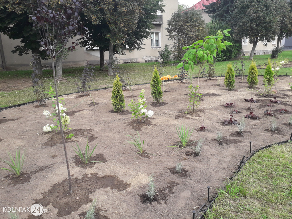 Rabaty ogrodowe przy głównej ulicy w Kolnie