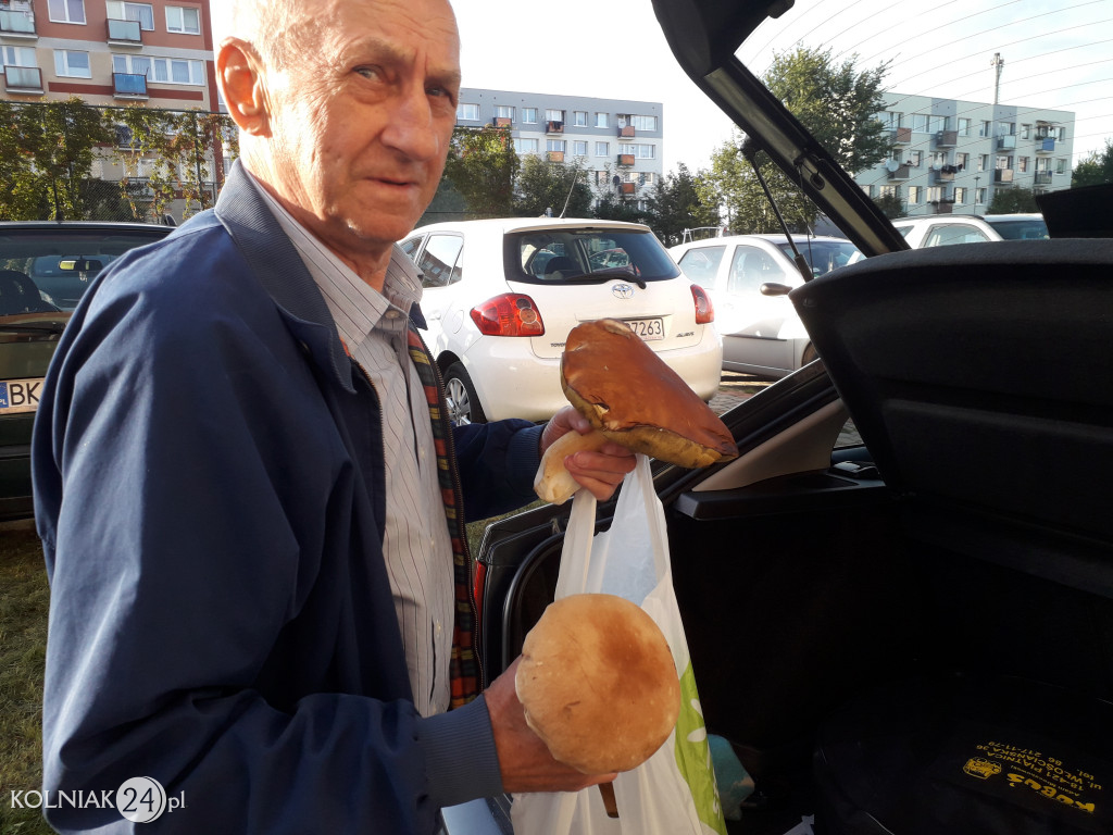 Grzybobranie według Czytelników Kolniaka24