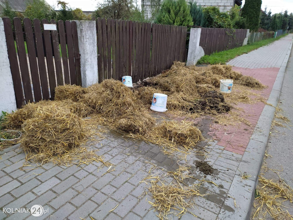 Obornik przed domami posłów PiS