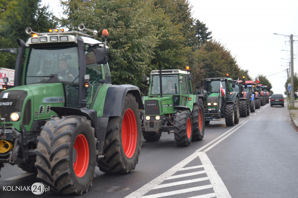 Rolnicy protestują przeciwko tzw. piątce dla zwierząt
