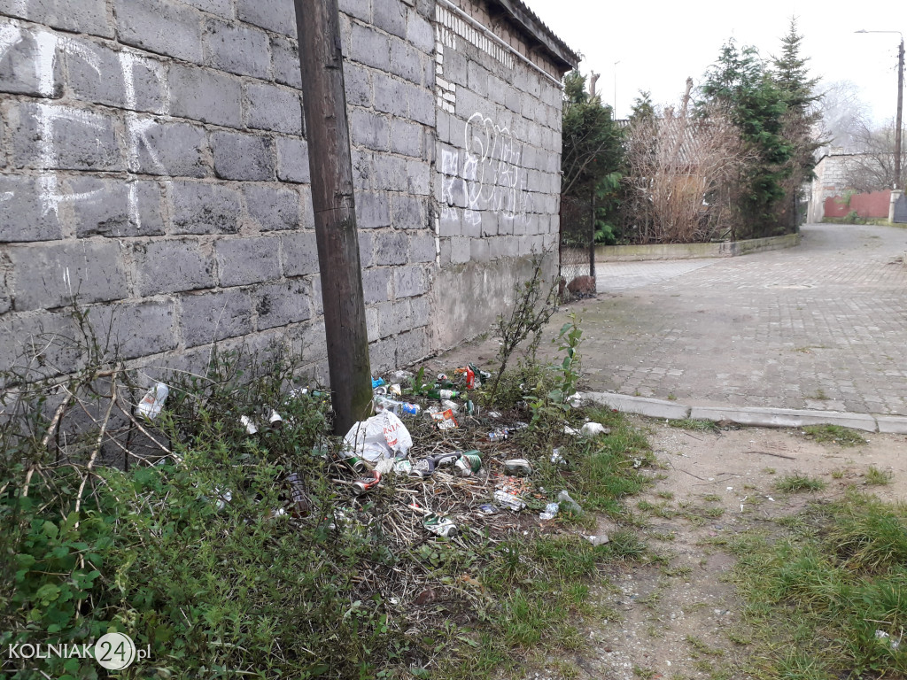 Śmieci w okolicy ulicy Polnej w Kolnie