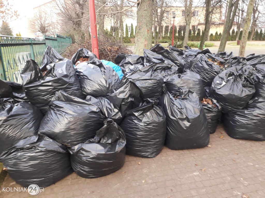 Uprzątnięto plac zabaw z liści
