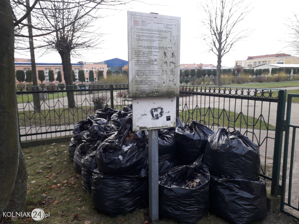 Uprzątnięto plac zabaw z liści