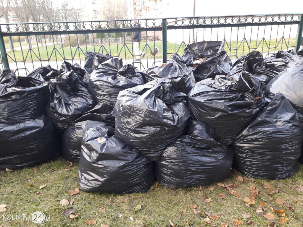 Uprzątnięto plac zabaw z liści