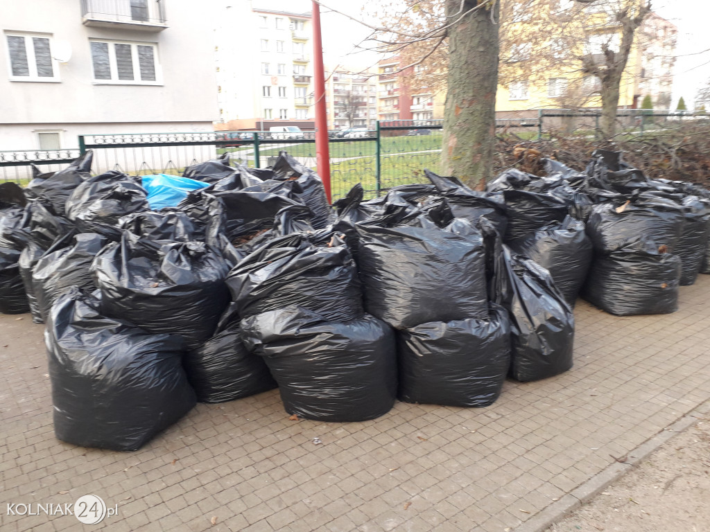 Uprzątnięto plac zabaw z liści
