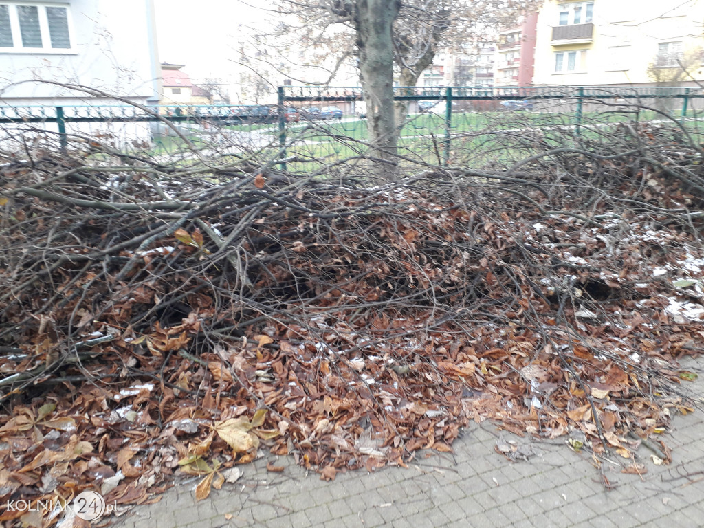 Uprzątnięto plac zabaw z liści