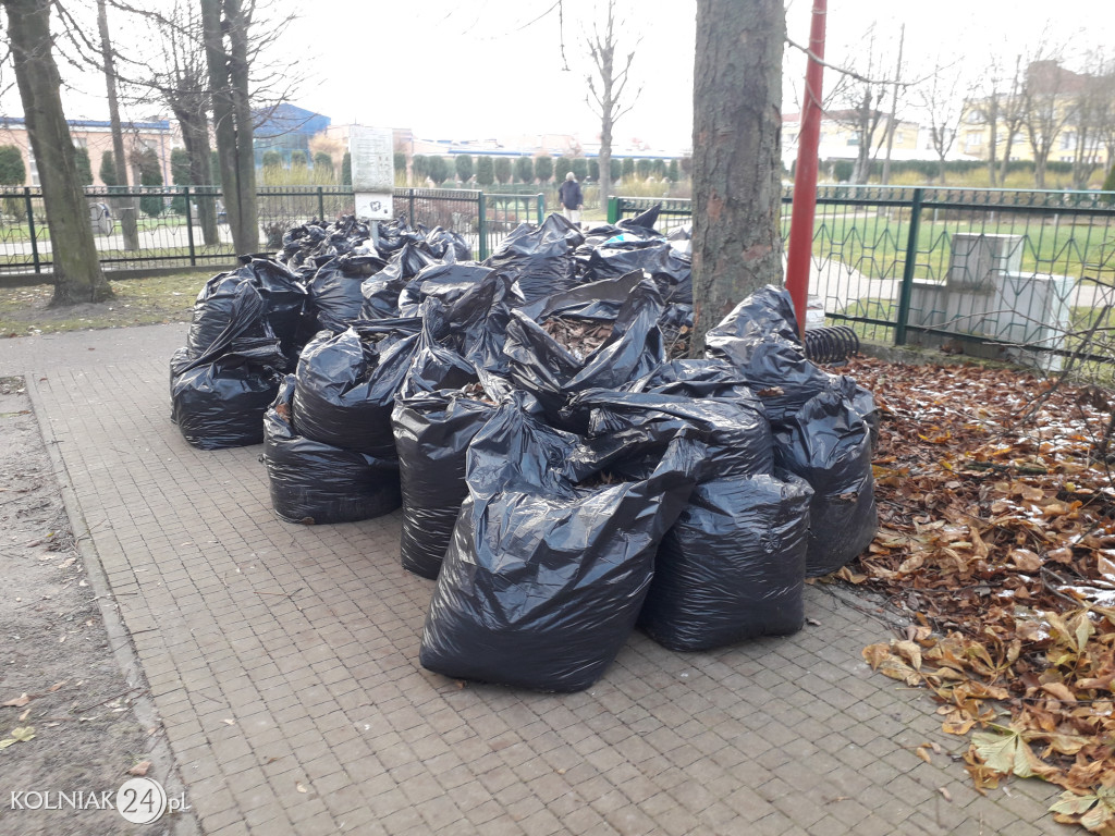 Uprzątnięto plac zabaw z liści