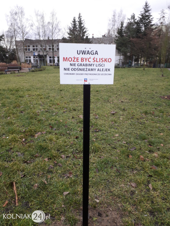 Uprzątnięto plac zabaw z liści