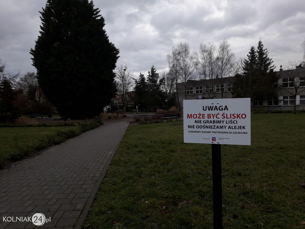 Uprzątnięto plac zabaw z liści