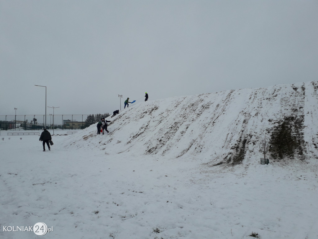 Drzewka przy górce na stadionie miejskim