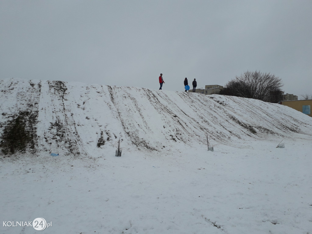 Drzewka przy górce na stadionie miejskim