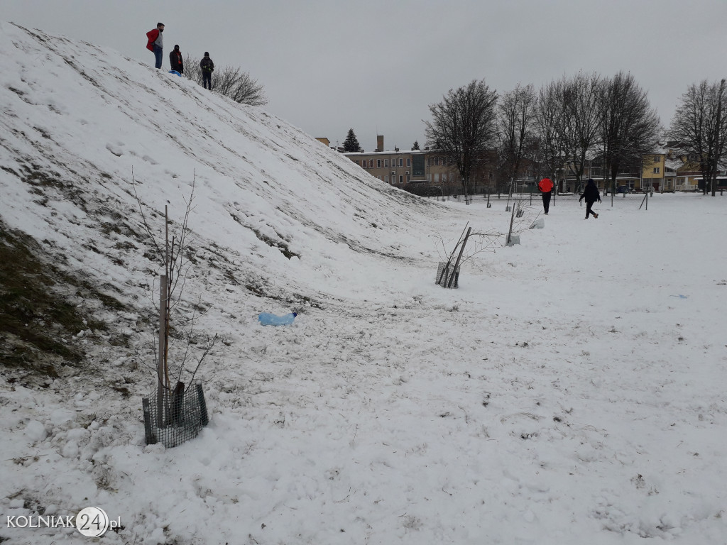 Drzewka przy górce na stadionie miejskim